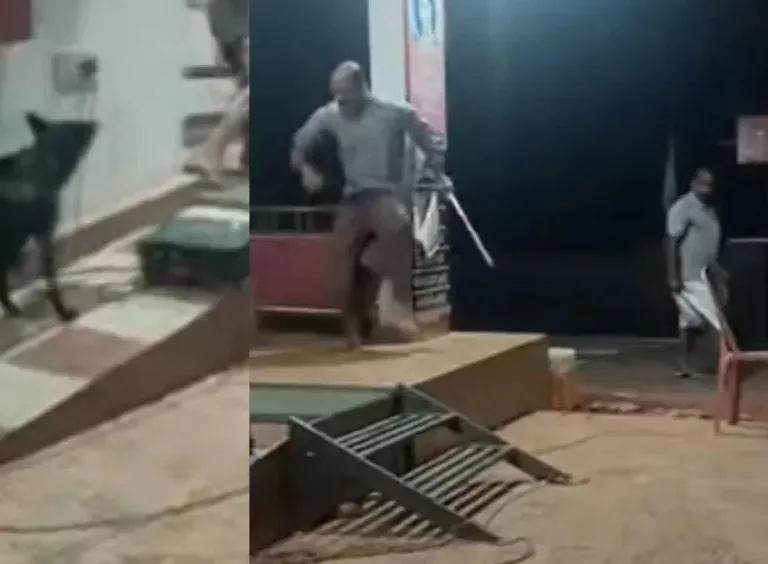 തെരുവുനായ് ശല്യത്തിനെതിരായ നാടകത്തിനിടെ നായുടെ ആക്രമണം; കാണികള്‍ കരുതിയത് നാടകത്തിന്റെ ഭാഗമെന്ന്