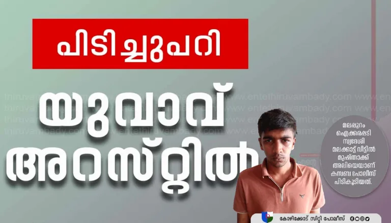 മൊബൈൽ ഫോൺ പിടിച്ചുപറിച്ച് കൊണ്ടുപോയ കേസിൽ യുവാവ് അറസ്റ്റിൽ