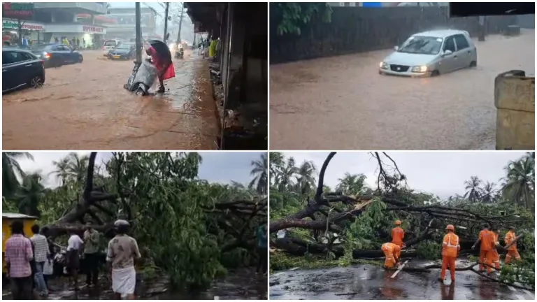 കോഴിക്കോട് ആർത്തലച്ച് വേനൽമഴ എത്തി, മിന്നല്‍ ചുഴലിയിലും ശക്തമായ കാറ്റിലും പലയിടത്തും നാശനഷ്ടം