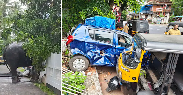തൃശൂരില്‍ ആന ഇടഞ്ഞു, കാറും, ഓട്ടോറിക്ഷയും കുത്തിമറിച്ചു, പരിഭ്രാന്തി
