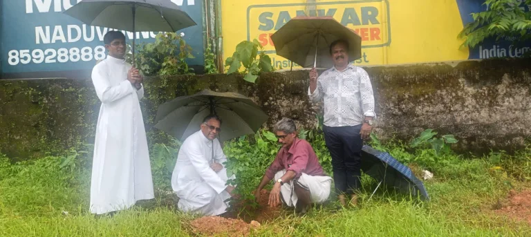 കത്തോലിക്ക കോൺഗ്രസ് പരിസ്ഥിതി ദിനം ആചരിച്ചു