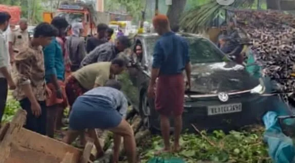 മരക്കൊമ്പ് ഒടിഞ്ഞുവീണ് ബൈക്ക് യാത്രികന് പരിക്ക്.