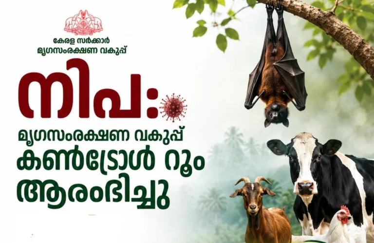 നിപ: മൃഗസംരക്ഷണ വകുപ്പ് കണ്‍ട്രോള്‍ റൂം ആരംഭിച്ചു