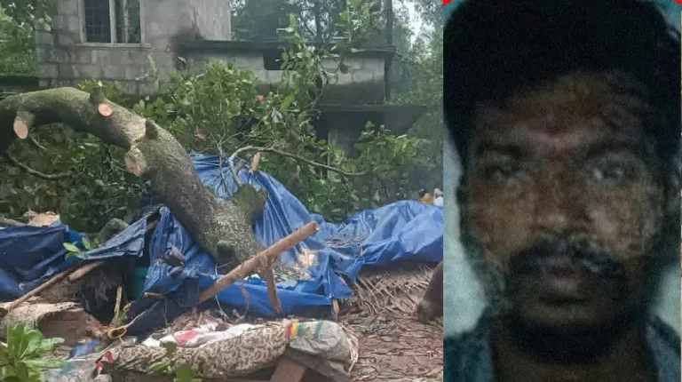 ഉറങ്ങിക്കിടക്കുമ്പോള്‍ വീടിനുമുകളിലേക്ക് മരം വീണു, യുവാവ് മരിച്ചു